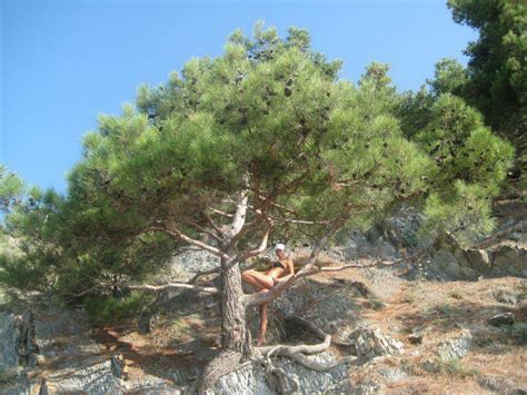 Amateur Pics IMG Porn Pic