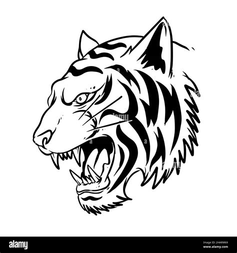 Tiger Head Line Drawing