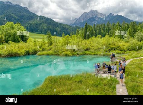 Tourists Visiting A Lake In Zelenci Nature Reserve Podkoren Kranjska