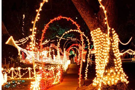 How to Put Christmas Lights on Arches - Gardenoholic