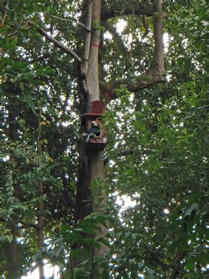Adventures With The Naked Hermit Crabs Awesome August