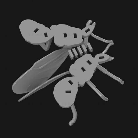 Big Ass Ant D Print Model