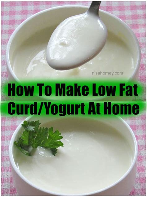 How To Make Low Fat Yogurt At Home Retake Again