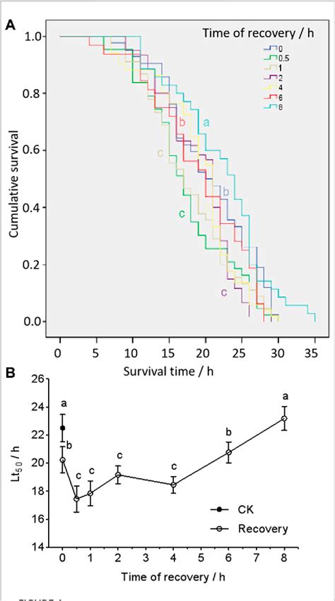 Figure From Transcription Dynamics Of Heat Shock Proteins In Response