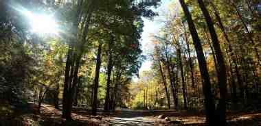 Smokemont Campground in Cherokee North Carolina NC Great Smoky Mountains National Park