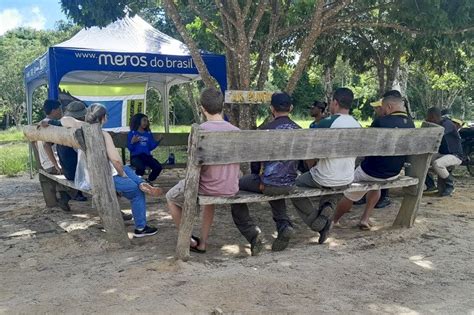 Projeto Meros Realiza A O Para Ajudar A Identificar Esp Cies Nativas