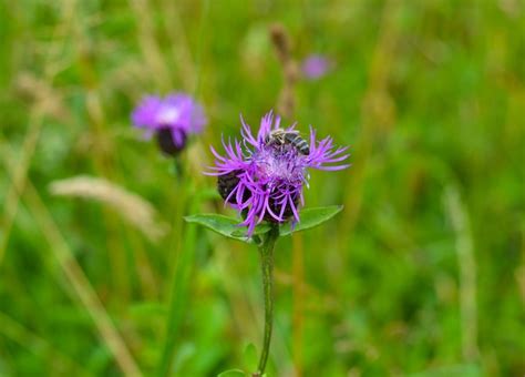 page  creeping images    freepik