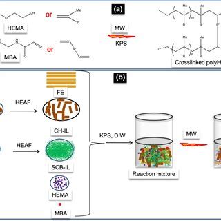 Schematic presentation of reaction scheme for the preparation of HNC ...