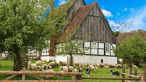 Solve Sheep jigsaw puzzle online with 120 pieces