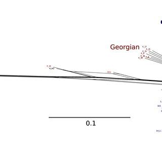 Phylogenetic Network Calculated Using The Neighbornet Algorithm Across