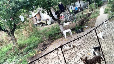 Безплатни Amateur Bulgarian порно видеоклипове xHamster