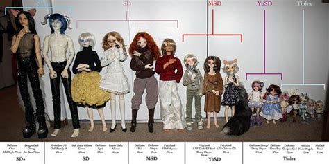 Image Result For Bjd Sizes Comparison Bjd Miniature Plants Bjd Dolls