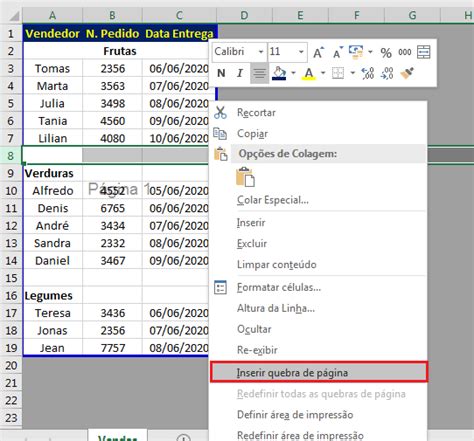 Quebra De P Gina No Excel Como Inserir Mover Excluir E Ocultar