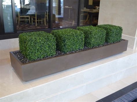 Artificial Foliage Hedge Treescapes And Plantworks