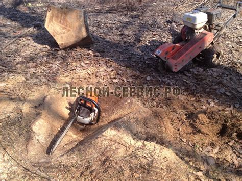 Удаление пней деревьев в Москве и Московской области