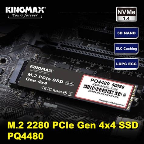 Ssd Kingmax Zeus Pq Gb Ch Nh H Ng Gi R Qu