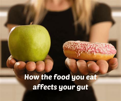 How The Food You Eat Affects Your Gut Thumper Massager Inc Au Store