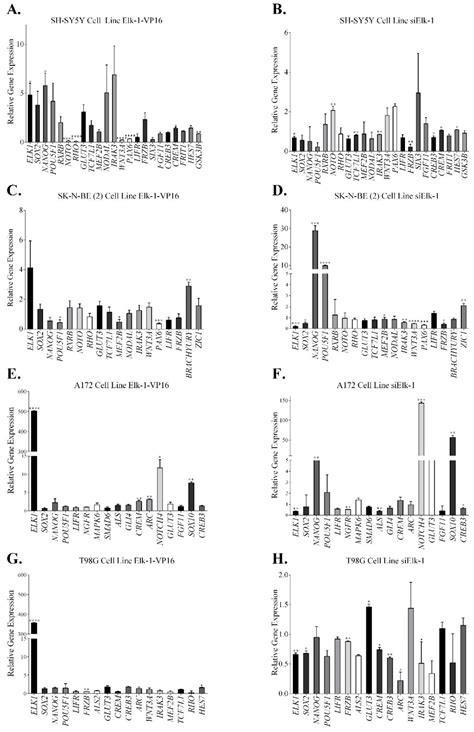 Jpm Free Full Text Ets Domain Transcription Factor Elk 1 Regulates