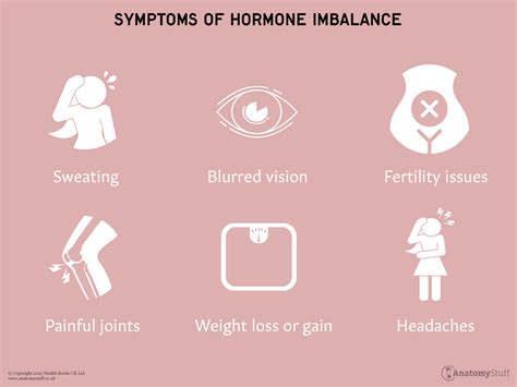 Understanding Hormones Hormone Imbalance Anatomystuff