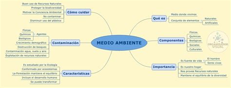 Mapa Conceptual Y Mental Medio Ambiente