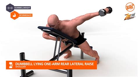 Shoulder Dumbbell Lying One Arm Rear Lateral Raise Youtube