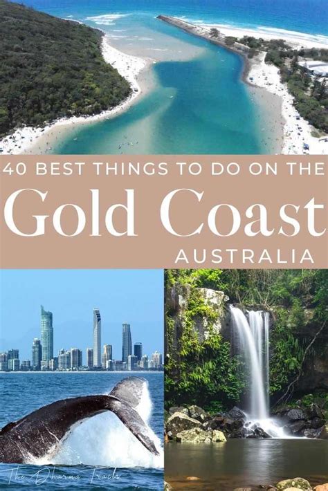 50 Unique Things To Do On The Gold Coast Australia 2022 Gold Coast