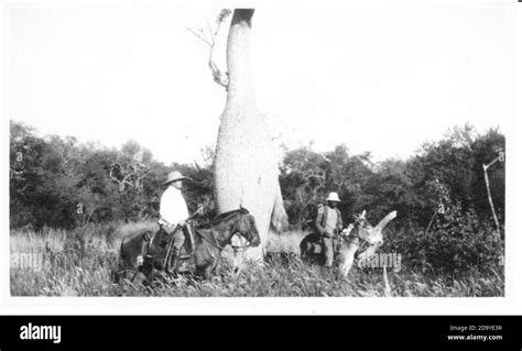 Botella Antigua A Blanco Y Negro Fotografías E Imágenes De Alta