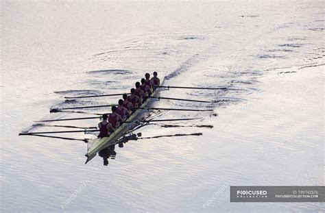 Rowing team rowing scull on lake — caucasian, training - Stock Photo ...