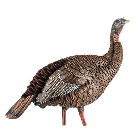 Avian X Hdr Hen Turkey Decoy Camofire Discount Hunting Gear Camo And