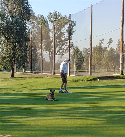 Shandin Hills Golf Club, San Bernardino, California - Golf course ...