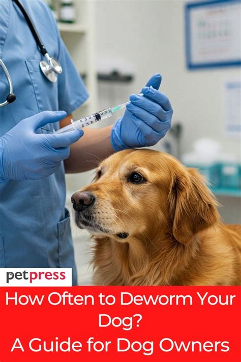 how often do you have to deworm a dog