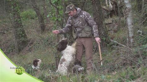 L Addestramento Del Cane Da Tartufo Le Storie Di Melaverde Video