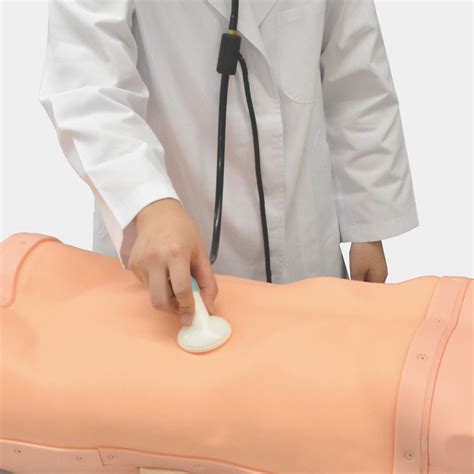 Abdominal Examination Simulator Mediquip