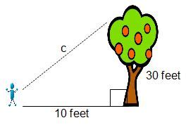 Hypotenuse of a Right Triangle | Steps & Examples - Lesson | Study.com