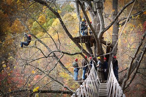 Zip Line Tours - Bonsai Design | World-Class Adventure Course Providers