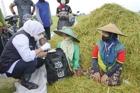 Ntp Petani Jatim Alami Kenaikan Kesejahteraan Dapat Ditingkatkan