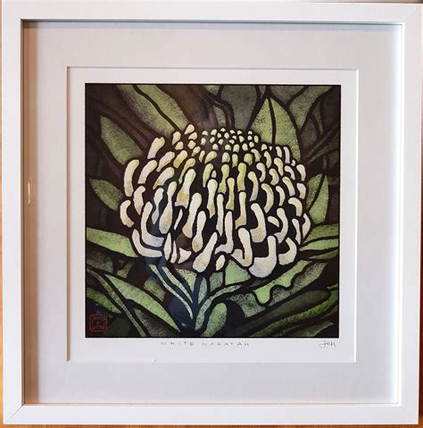 White Waratah Flower Framed Print 2 | NSW Parliament - Functions & Events