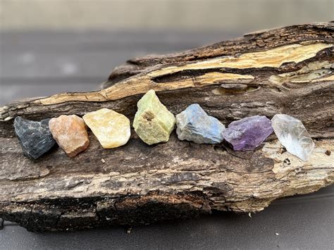 Raw Chakra Stone Set Jurassic Jacks Fossil Shack