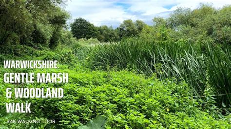 Take A Peaceful Stroll Through A Stunning Marsh And Woodlands Youtube