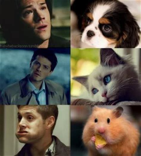 Castiel, Sam, Dean - Dean, Castiel, and Sam Wallpaper (30869031) - Fanpop