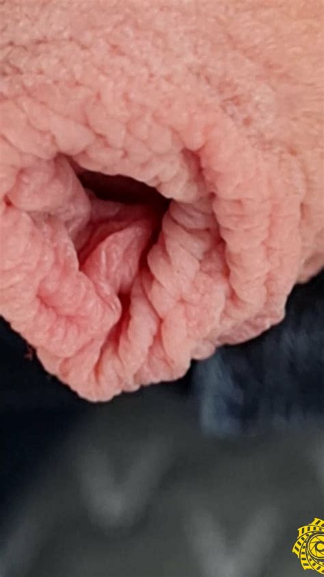 Yahimbehar Close Up Cock Gay Amateur Porn C Xhamster Xhamster