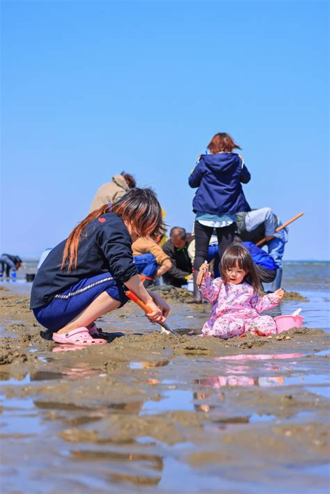 御殿場海岸の写真「潮干狩りの黙々とする親子」 三重フォトギャラリー