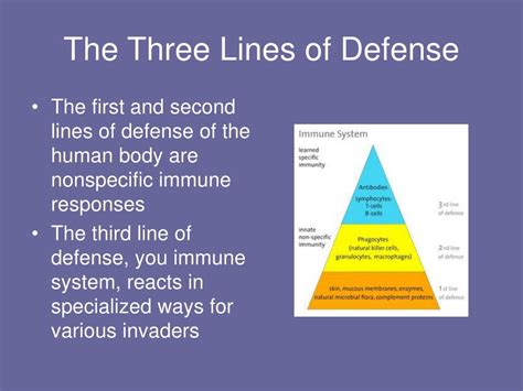 Ppt The Bodys Lines Of Defence Powerpoint Presentation Free