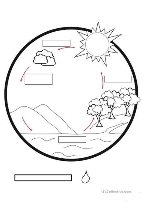 Water Cycle Worksheets Worksheets Day Ece Water Cycle Worksheet Water Cycle Activities