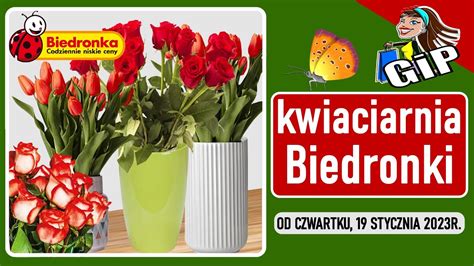 BIEDRONKA Oferta Od Czwartku 19 01 2023 Kwiaciarnia Biedronki