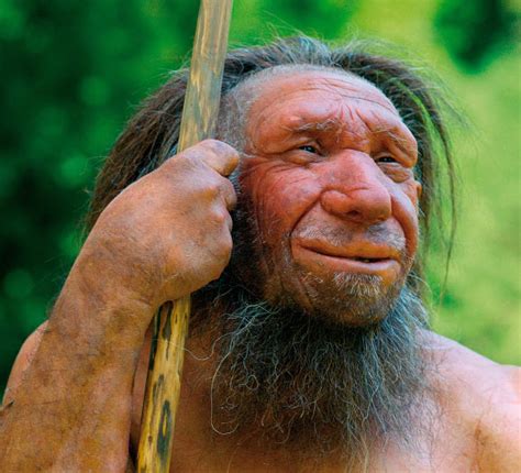 Neanderthals And Humans Interbred