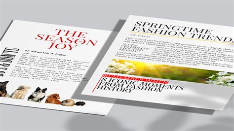 Design Professional Brochures Newsletters And Flyers For Your Business