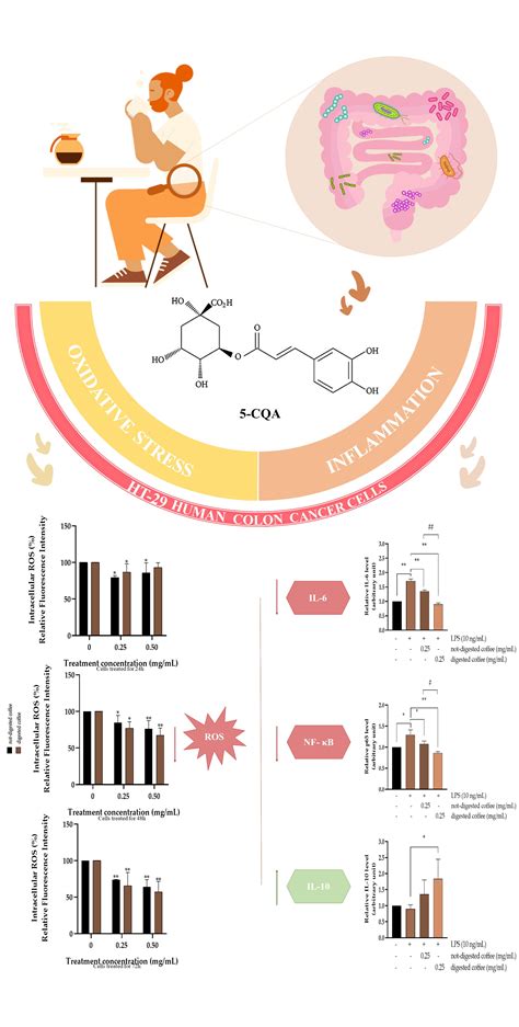 Antioxidant and Anti-Inflammatory Activity of Coffee Brew Evaluated