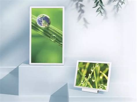 sharp kontakt austria sharp