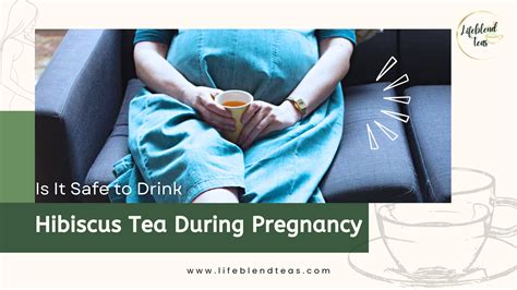 Is It Safe To Drink Hibiscus Tea During Pregnancy Lifeblend Teas